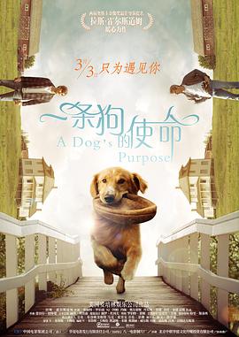 91免费在线
