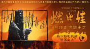 鹿鼎记张卫健