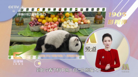 96精品专区国产在线观看高清