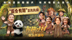 精品国产你懂的在线观看